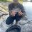 Björkna, 420g, Hans Sandberg, 2024-06-06, Älvkarleby , fiskemetod: Bottenmete