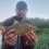 Sarv, 476g, Hans Sandberg, 2024-07-03, Nynäshamn, fiskemetod: Flötmete