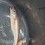 Vitling, 125g, Thomas Lysell, 2026-03-14, Landskrona, fiskemetod: Bottenmete